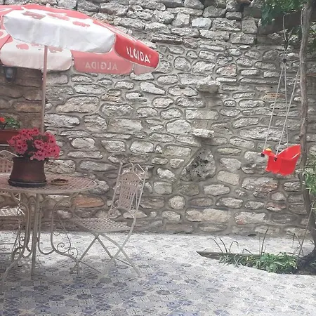 Mimosa Penzion Balčik