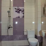 Mimosa Guest house 4*