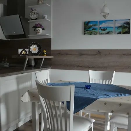 Guest house Mimosa Balchik