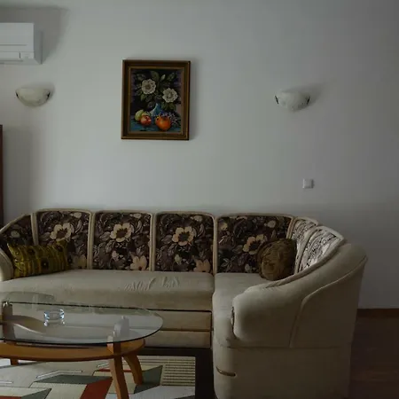 Guest house Mimosa 4*