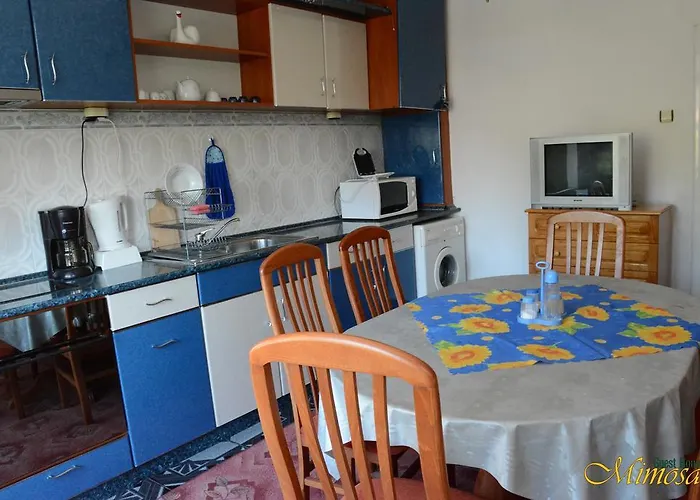 Guest house Mimosa Balchik